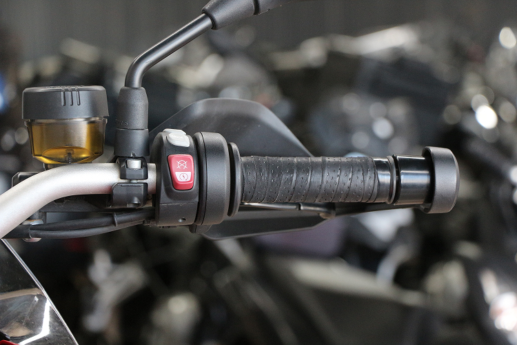 BMWF800GSA-4